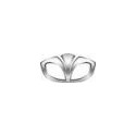 Lacetti